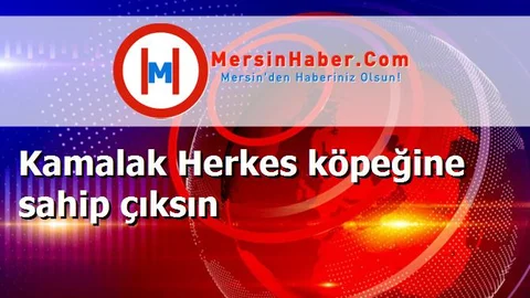 Kamalak Herkes köpeğine sahip çıksın