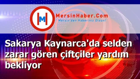 Sakarya Kaynarca'da selden zarar gören çiftçiler yardım bekliyor