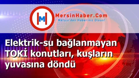 Elektrik-su bağlanmayan TOKİ konutları, kuşların yuvasına döndü