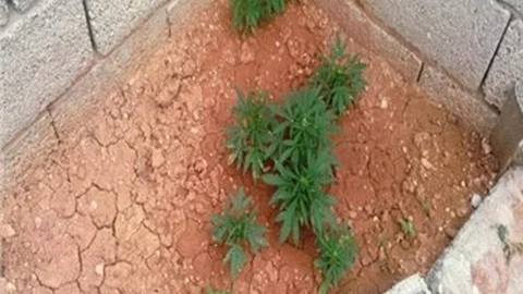 Uyuşturucudan 2 tutuklama