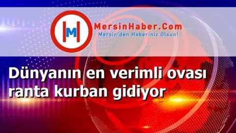 Dünyanın en verimli ovası ranta kurban gidiyor