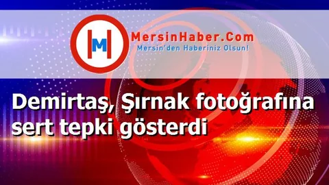 Demirtaş, Şırnak fotoğrafına sert tepki gösterdi