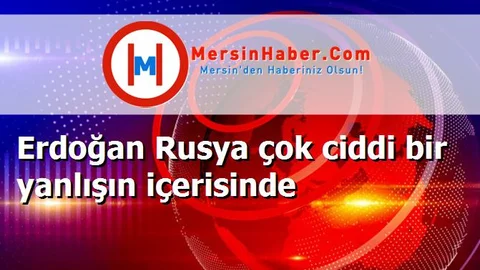 Erdoğan Rusya çok ciddi bir yanlışın içerisinde