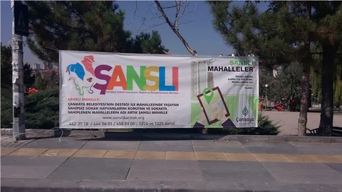 Çankaya Belediyesi, Hayvan Hakları Günü’nü sokakta kutladı