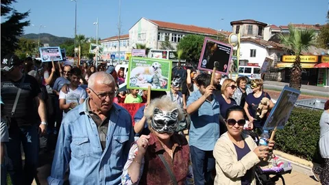 Alcan Hayvanların da diğer canlılar gibi yaşam hakkı vardır