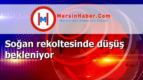 Soğan rekoltesinde düşüş bekleniyor