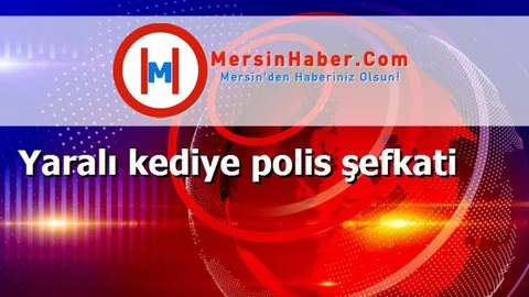 Yaralı kediye polis şefkati