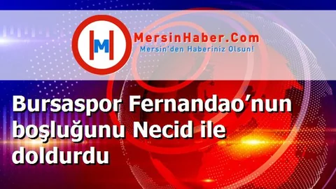 Bursaspor Fernandao’nun boşluğunu Necid ile doldurdu
