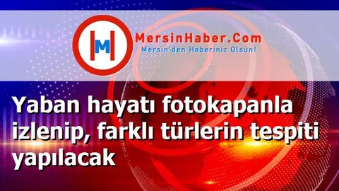 Yaban hayatı fotokapanla izlenip, farklı türlerin tespiti yapılacak