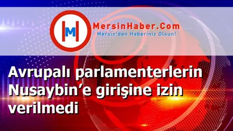 Avrupalı parlamenterlerin Nusaybin’e girişine izin verilmedi