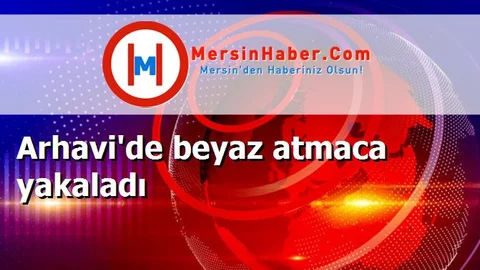 Arhavi'de beyaz atmaca yakaladı