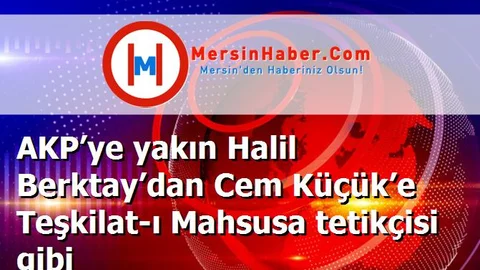 AKP’ye yakın Halil Berktay’dan Cem Küçük’e Teşkilat-ı Mahsusa tetikçisi gibi