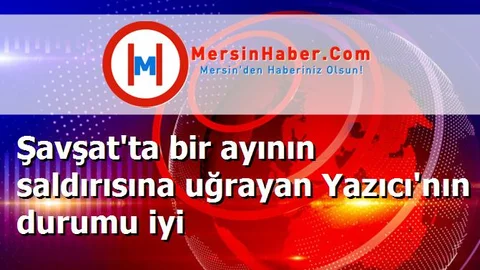 Şavşat'ta bir ayının saldırısına uğrayan Yazıcı'nın durumu iyi