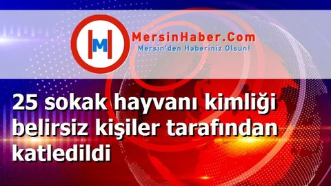 25 sokak hayvanı kimliği belirsiz kişiler tarafından katledildi