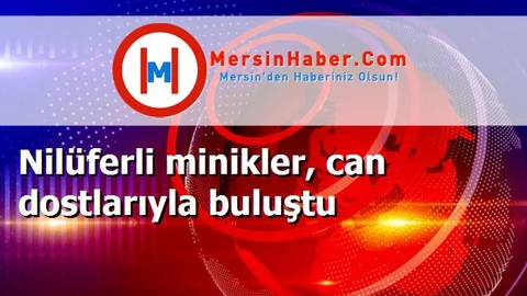 Nilüferli minikler, can dostlarıyla buluştu