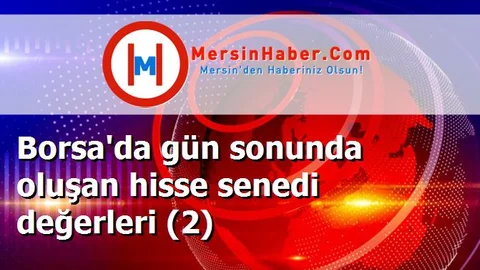 Borsa'da gün sonunda oluşan hisse senedi değerleri (2)