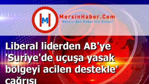 Liberal liderden AB'ye 'Suriye'de uçuşa yasak bölgeyi acilen destekle' çağrısı