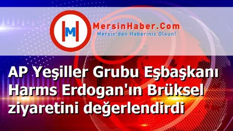 AP Yeşiller Grubu Eşbaşkanı Harms Erdogan'ın Brüksel ziyaretini değerlendirdi