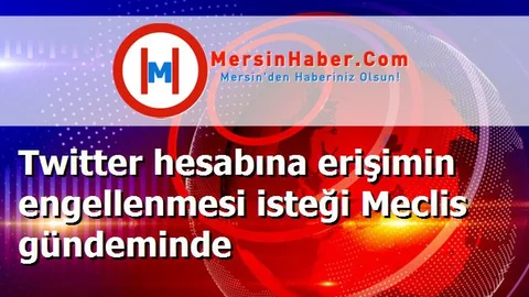 Twitter hesabına erişimin engellenmesi isteği Meclis gündeminde