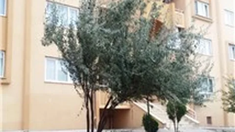 Silvan’da asker ailelerine lojman şoku