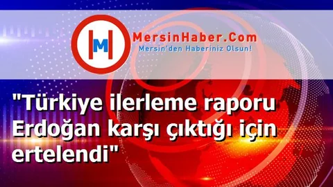 "Türkiye ilerleme raporu Erdoğan karşı çıktığı için ertelendi"