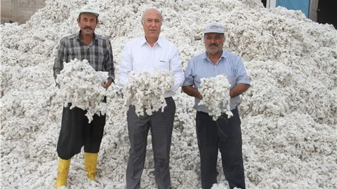 "Pamuk üreticilerine verilen devlet desteği girdi maliyetini karşılamıyor"