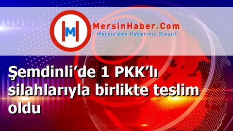 Şemdinli’de 1 PKK’lı silahlarıyla birlikte teslim oldu