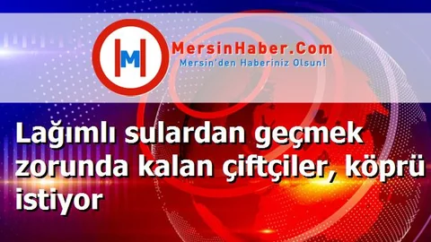 Lağımlı sulardan geçmek zorunda kalan çiftçiler, köprü istiyor