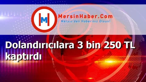 Dolandırıcılara 3 bin 250 TL kaptırdı