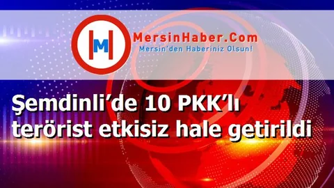 Şemdinli’de 10 PKK’lı terörist etkisiz hale getirildi