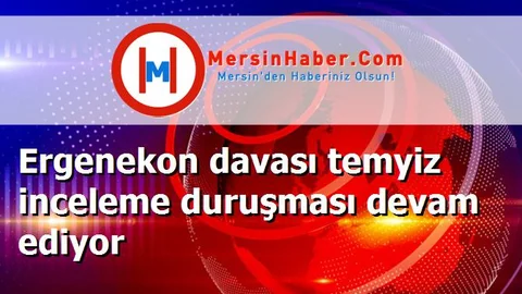 Ergenekon davası temyiz inceleme duruşması devam ediyor