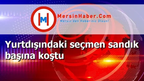 Yurtdışındaki seçmen sandık başına koştu