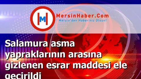 Salamura asma yapraklarının arasına gizlenen esrar maddesi ele geçirildi