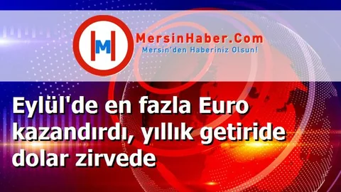 Eylül'de en fazla Euro kazandırdı, yıllık getiride dolar zirvede