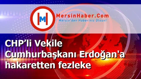 CHP’li Vekile Cumhurbaşkanı Erdoğan'a hakaretten fezleke