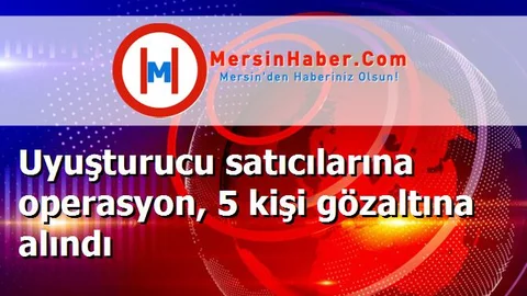 Uyuşturucu satıcılarına operasyon, 5 kişi gözaltına alındı