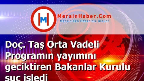 Doç. Taş Orta Vadeli Programın yayımını geciktiren Bakanlar Kurulu suç işledi