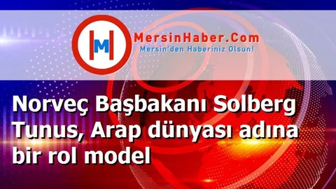 Norveç Başbakanı Solberg Tunus, Arap dünyası adına bir rol model