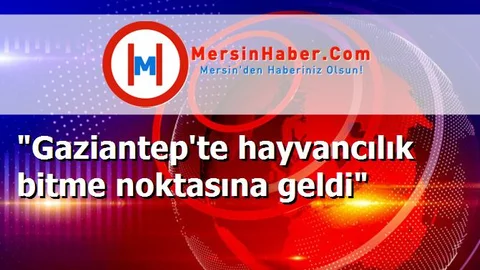 "Gaziantep'te hayvancılık bitme noktasına geldi"