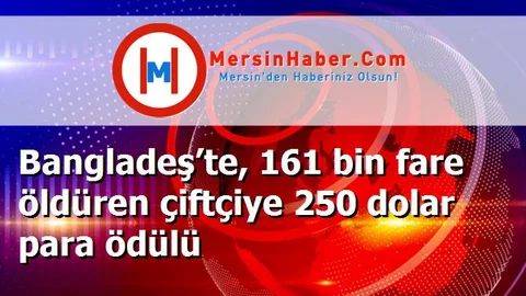 Bangladeş’te, 161 bin fare öldüren çiftçiye 250 dolar para ödülü