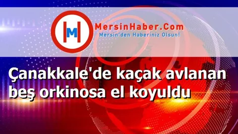 Çanakkale'de kaçak avlanan beş orkinosa el koyuldu
