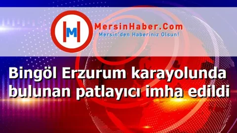 Bingöl Erzurum karayolunda bulunan patlayıcı imha edildi