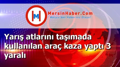 Yarış atlarını taşımada kullanılan araç kaza yaptı 3 yaralı