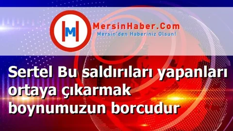 Sertel Bu saldırıları yapanları ortaya çıkarmak boynumuzun borcudur