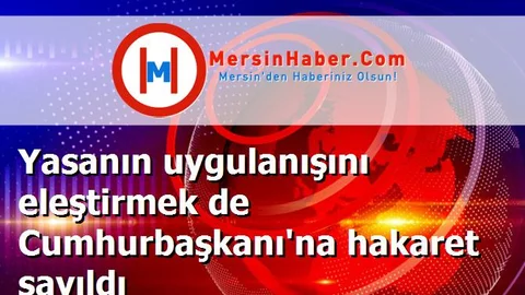 Yasanın uygulanışını eleştirmek de Cumhurbaşkanı'na hakaret sayıldı