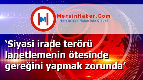 ‘Siyasi irade terörü lanetlemenin ötesinde gereğini yapmak zorunda’