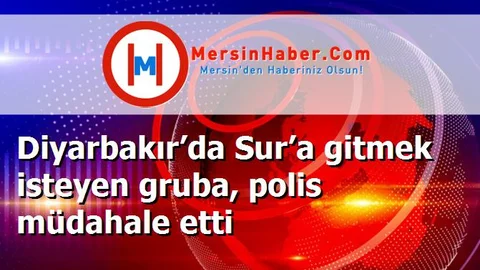 Diyarbakır’da Sur’a gitmek isteyen gruba, polis müdahale etti