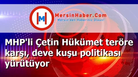 MHP'li Çetin Hükümet teröre karşı, deve kuşu politikası yürütüyor