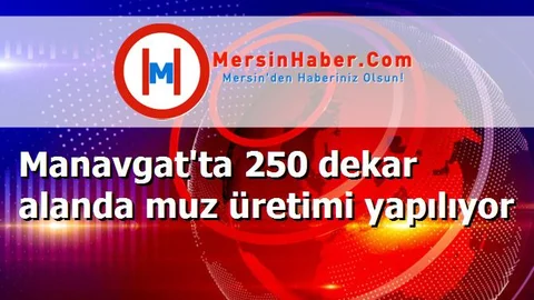 Manavgat'ta 250 dekar alanda muz üretimi yapılıyor