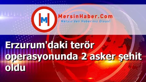 Erzurum'daki terör operasyonunda 2 asker şehit oldu